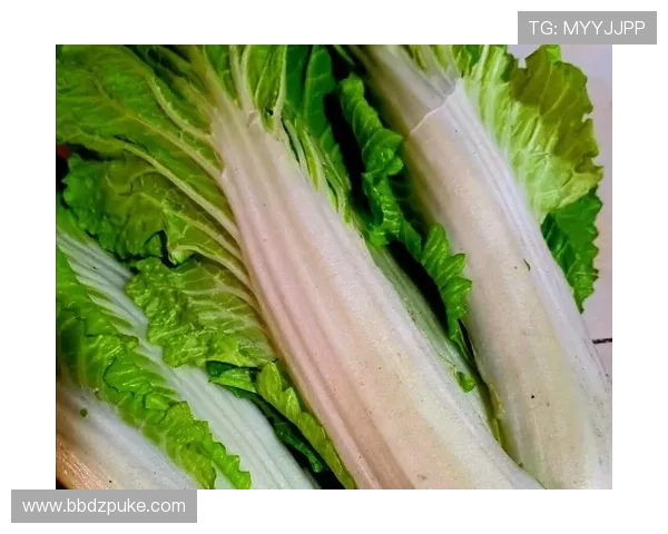 深入解析白菜博主的含义及其在网络文化中的影响